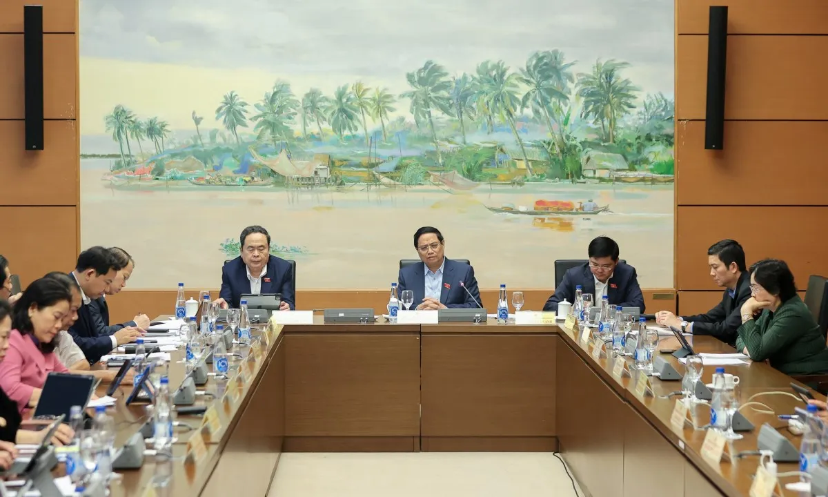 img4519-1762259459764556507136