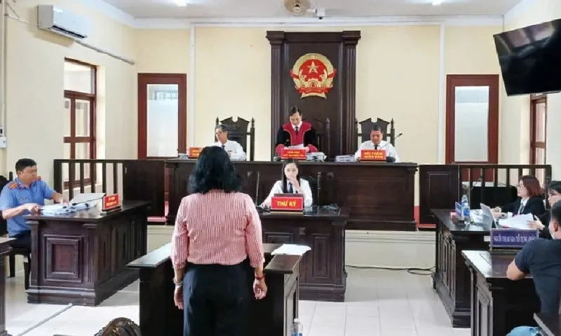 Cà Mau: Nữ “đại gia” thủy sản bị tuyên án 6 tháng tù treo vì hủy hoại tài sản