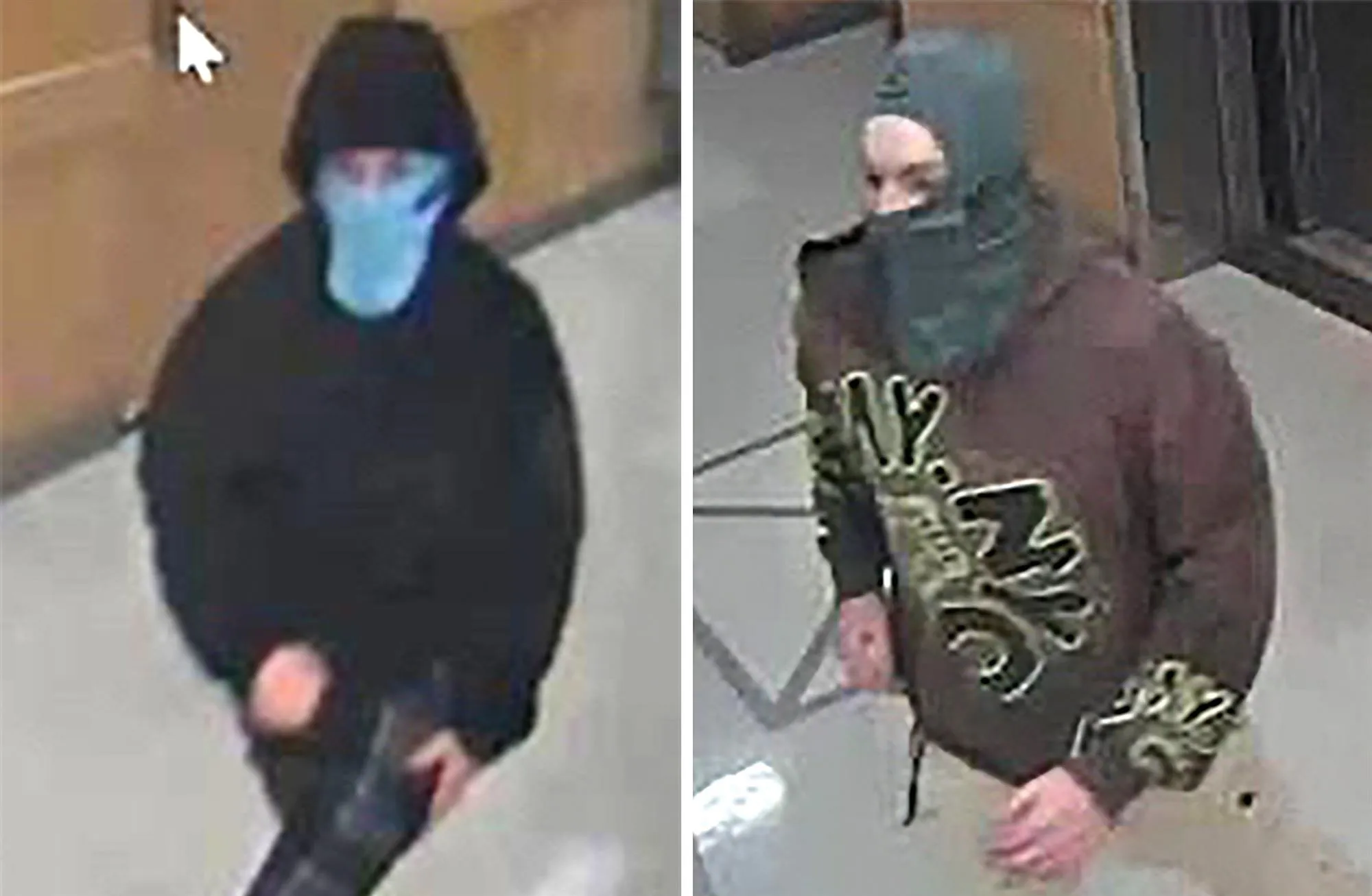 harvard-ht-gmh-251103_1762188123464_hpMain_2