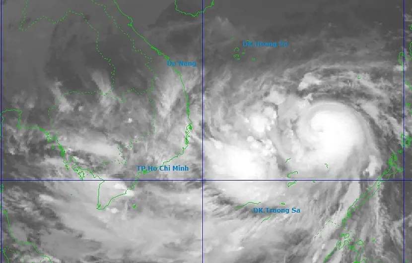 1315-png-1762349225-2800-17623-2513-5940-1762351808