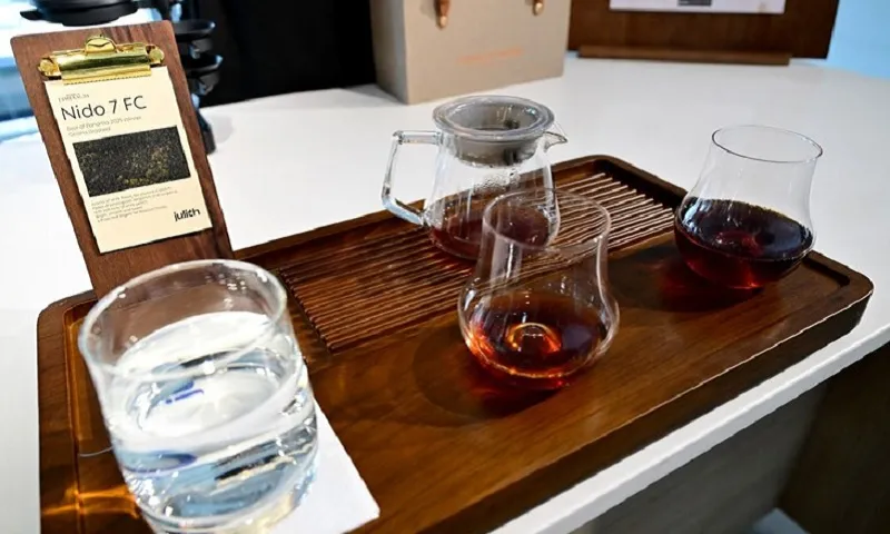 Dubai tiếp tục phá kỷ lục ly cà phê đắt nhất thế giới