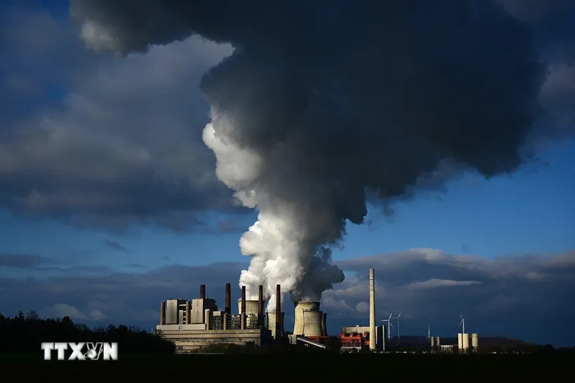 cat-giam-khi-thai-da-cham-lai-trong-nam-2024-7796634