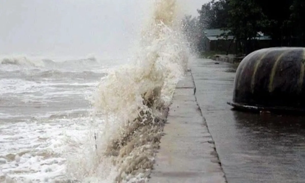 bao-17187948812371140603511-0-0-500-800-crop-17187950000721096430709-17526330481141646072783-175290533204722450566-17582380116161269839580