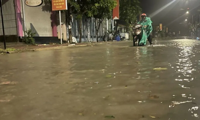 bao-so-13-quang-ngai