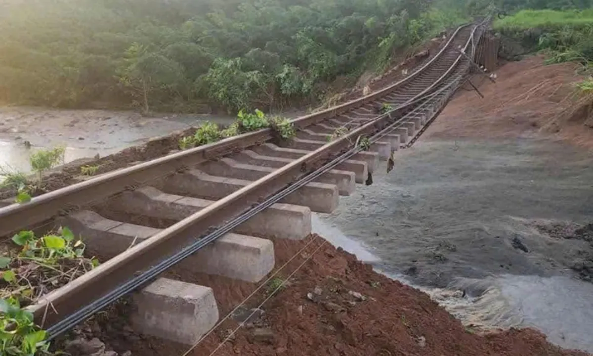 duong-sat-la-hai-dieu-tri-17624811439731402249611