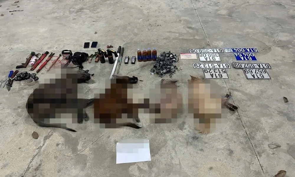 Bắt giữ nhóm trộm chó bằng ô tô