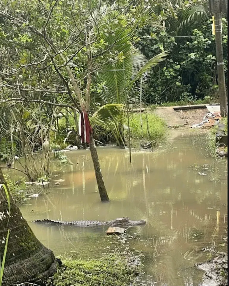 screenshot-2025-11-07-at-141519-176249973029961037573