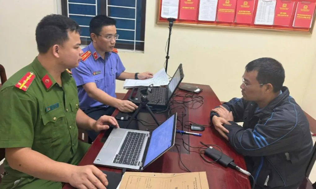 Giết mổ 7 con heo nhiễm dịch tả châu Phi, một người bị khởi tố