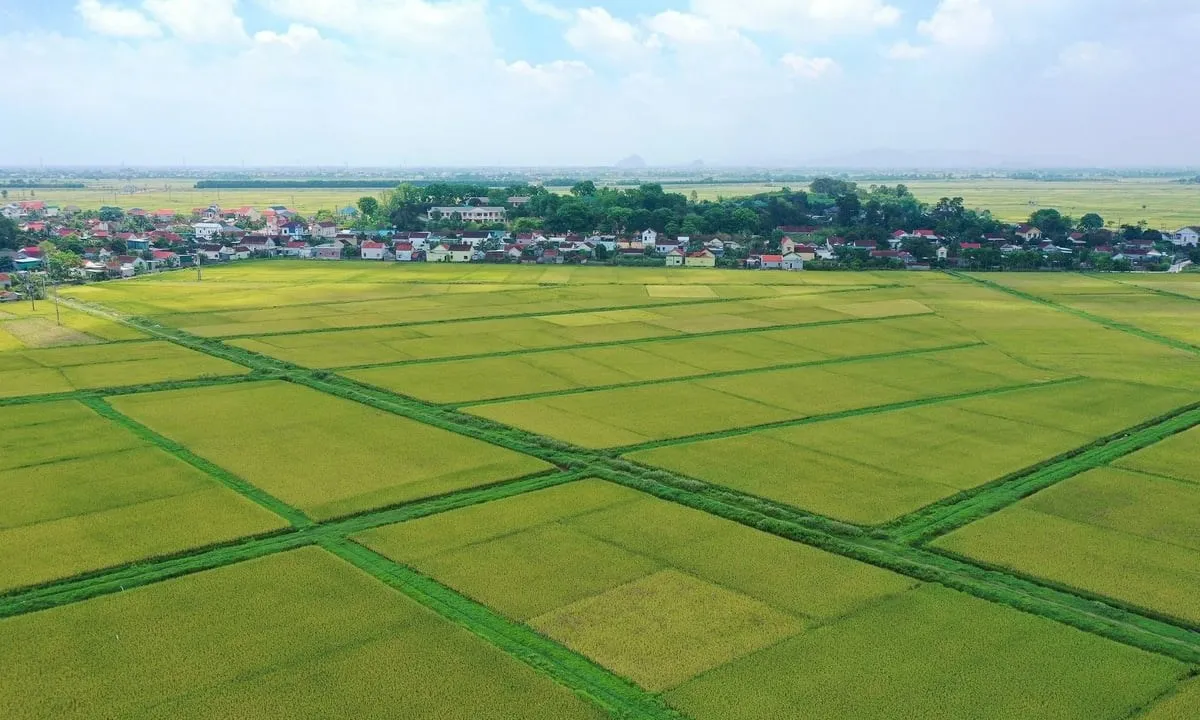 thue-dat-nong-nghiep-duoc-mien-them-5-nam-keo-dai-toi-het-2030-144814_555-145920