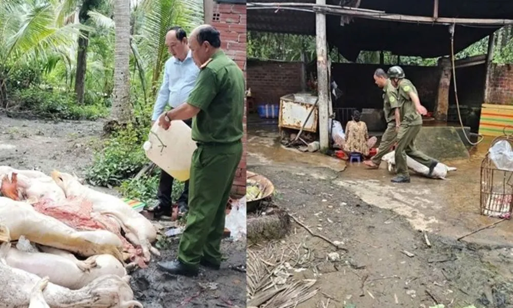 Vĩnh Long: Nhiều cơ sở giết mổ bị phát hiện bán thịt heo nghi nhiễm bệnh