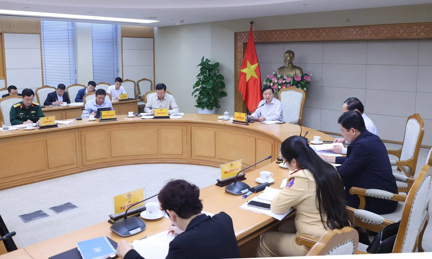 oto3-17628576656731316755431