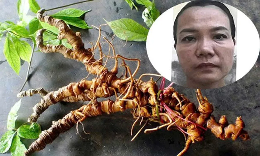 Bắt tạm giam người phụ nữ lừa hơn 10 tỉ đồng bằng chiêu vay vốn