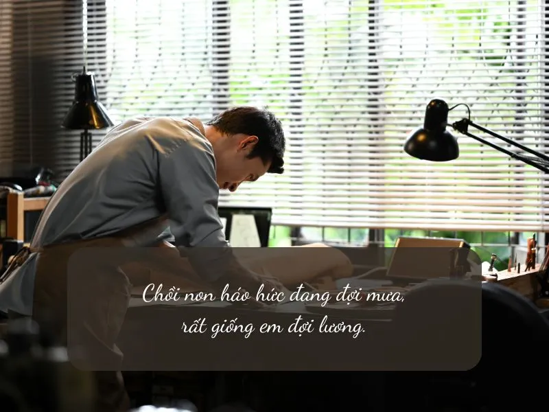 voh-stt-ngay-luong-ve-5