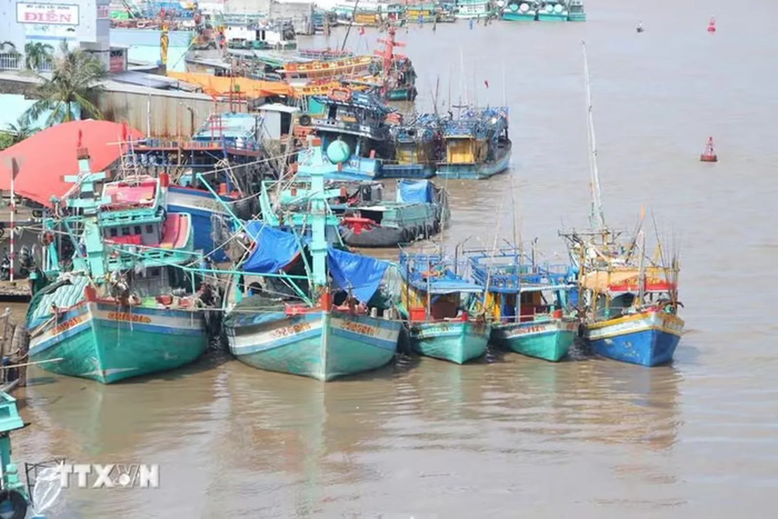 ca mau chu_voh