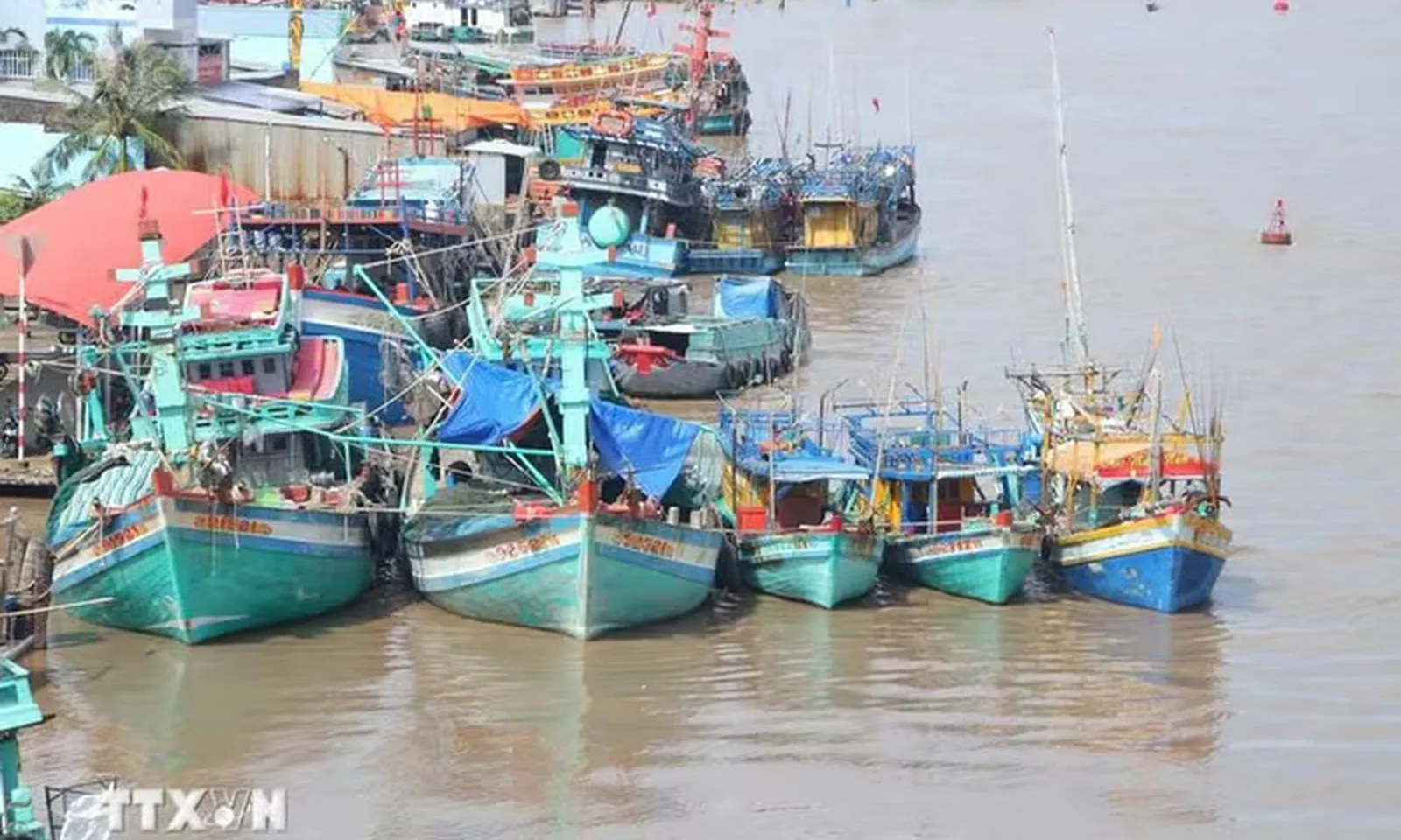 Cà Mau: Một Chủ tàu lãnh 6 năm tù vì đưa tàu sang vùng biển nước ngoài thu mua hải sản