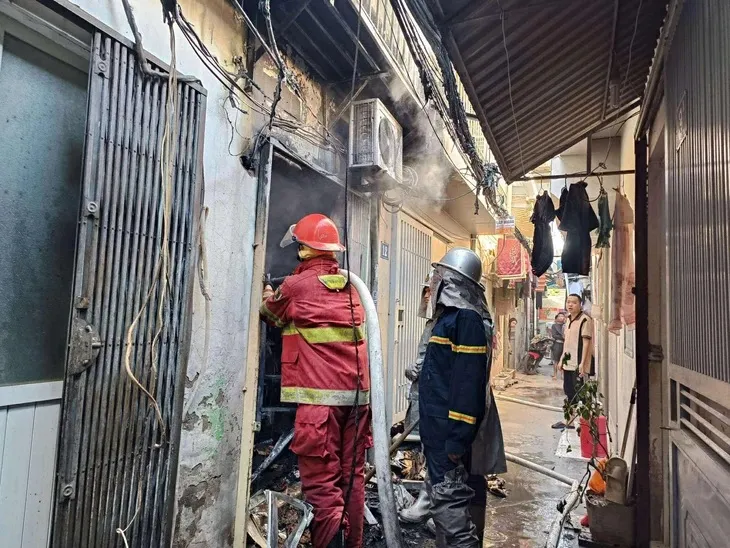 hay-2-1763096112376488026769