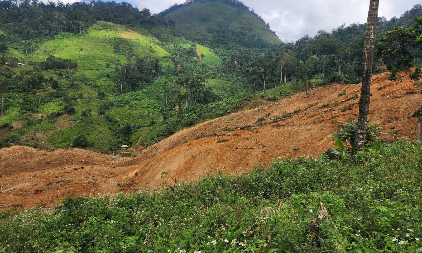 Sạt lở bất ngờ ở miền núi Đà Nẵng, 3 người mất liên lạc