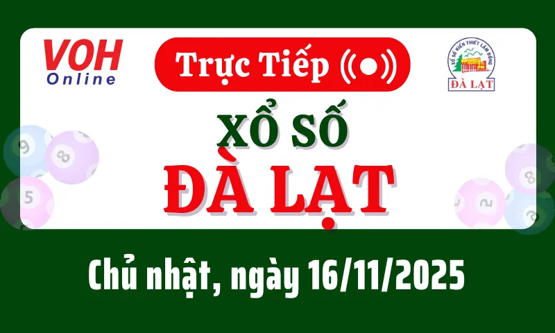 XSDL 16/11 - Kết quả xổ số Đà Lạt hôm nay chủ nhật ngày 16/11/2025