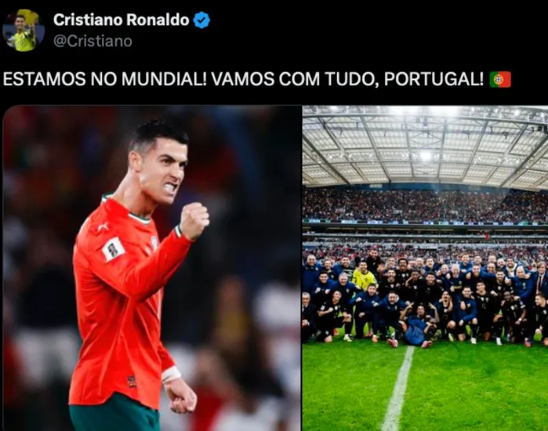 bo-dao-nha-world-cup