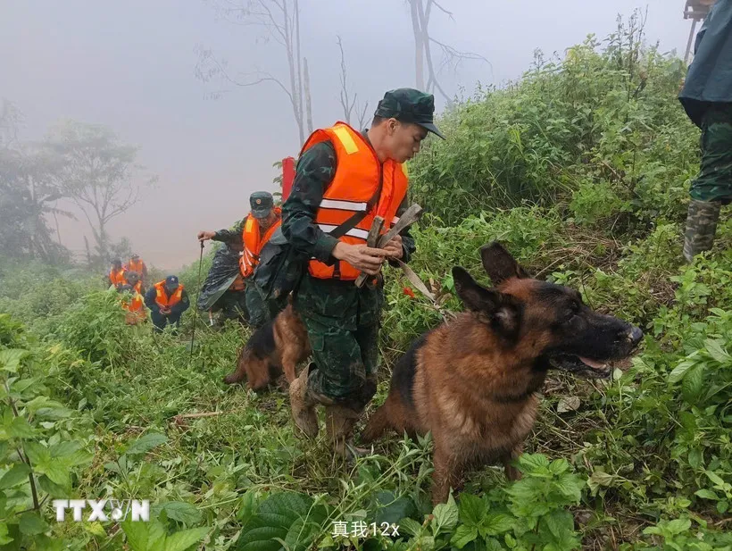 da-nang-su-dung-cho-nghiep-vu-tim-kiem-nan-nhan-mat-tich-trong-vu-sat-lo-dat-o-hung-son-8410894-3