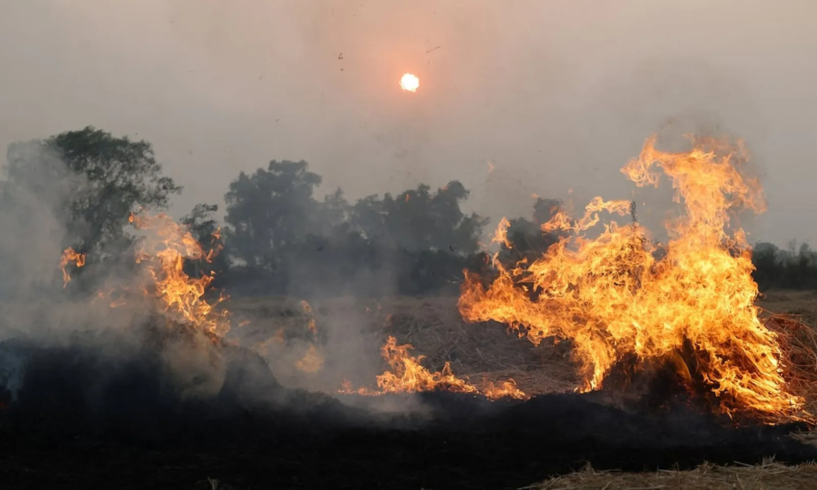Nông dân Punjab tái chế rơm rạ, góp phần giảm ô nhiễm không khí tại Ấn Độ