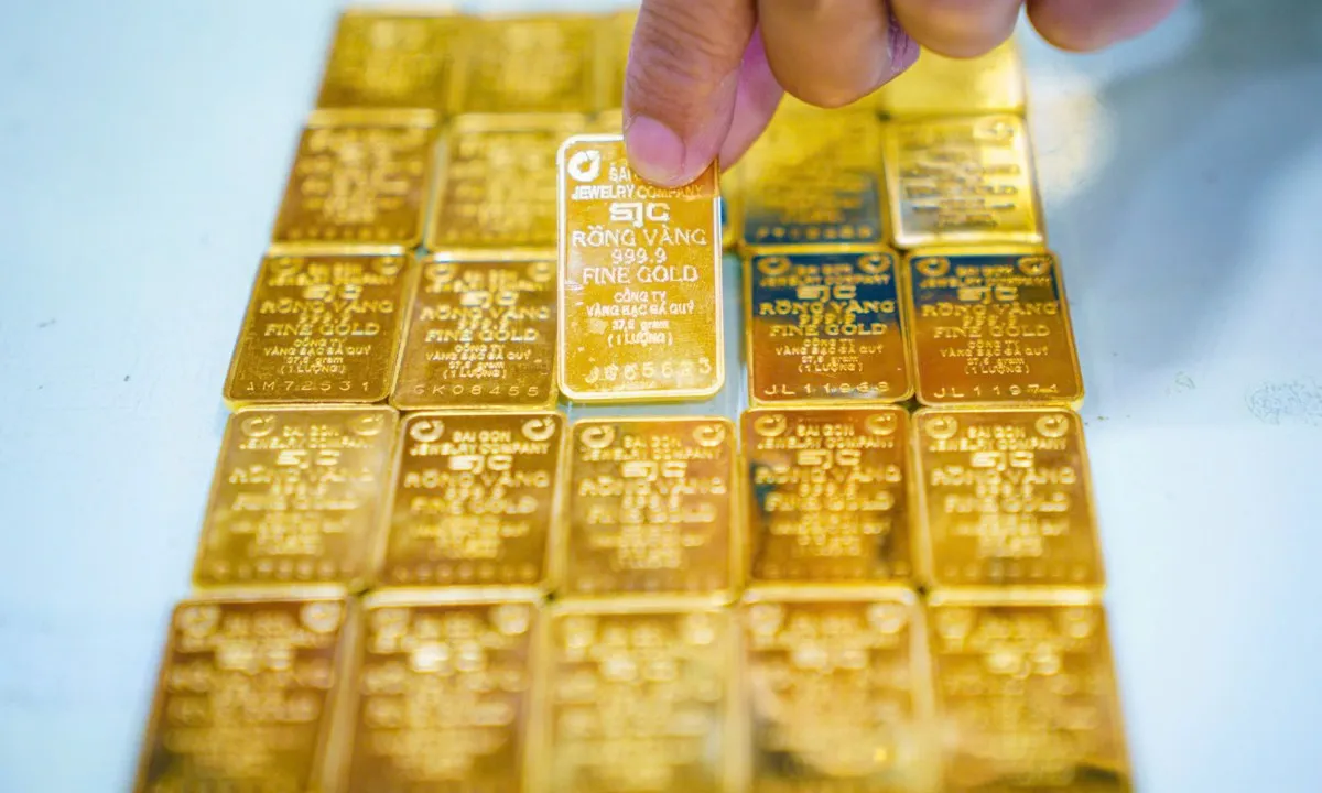 sjc-17274071265561750145694