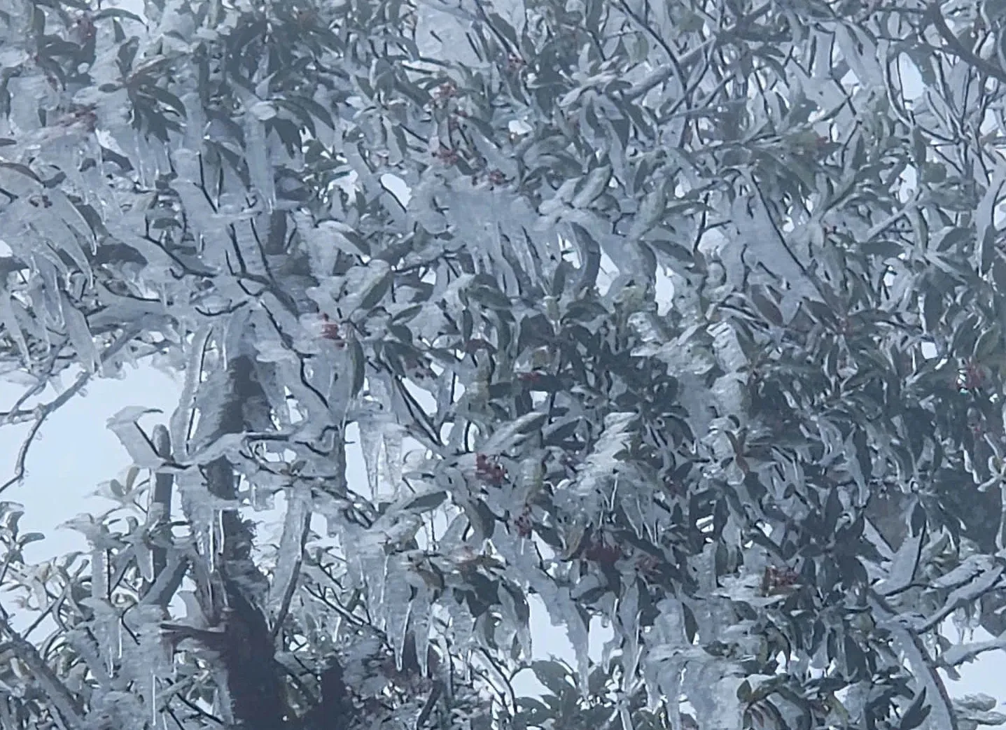 3809739380905477515-1763550756-7022-5500-1763551121