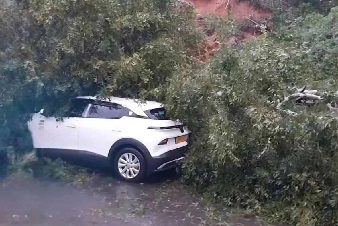 Sat-lo-deo-Mimosa-19-11-176354-5552-2493-1763548753