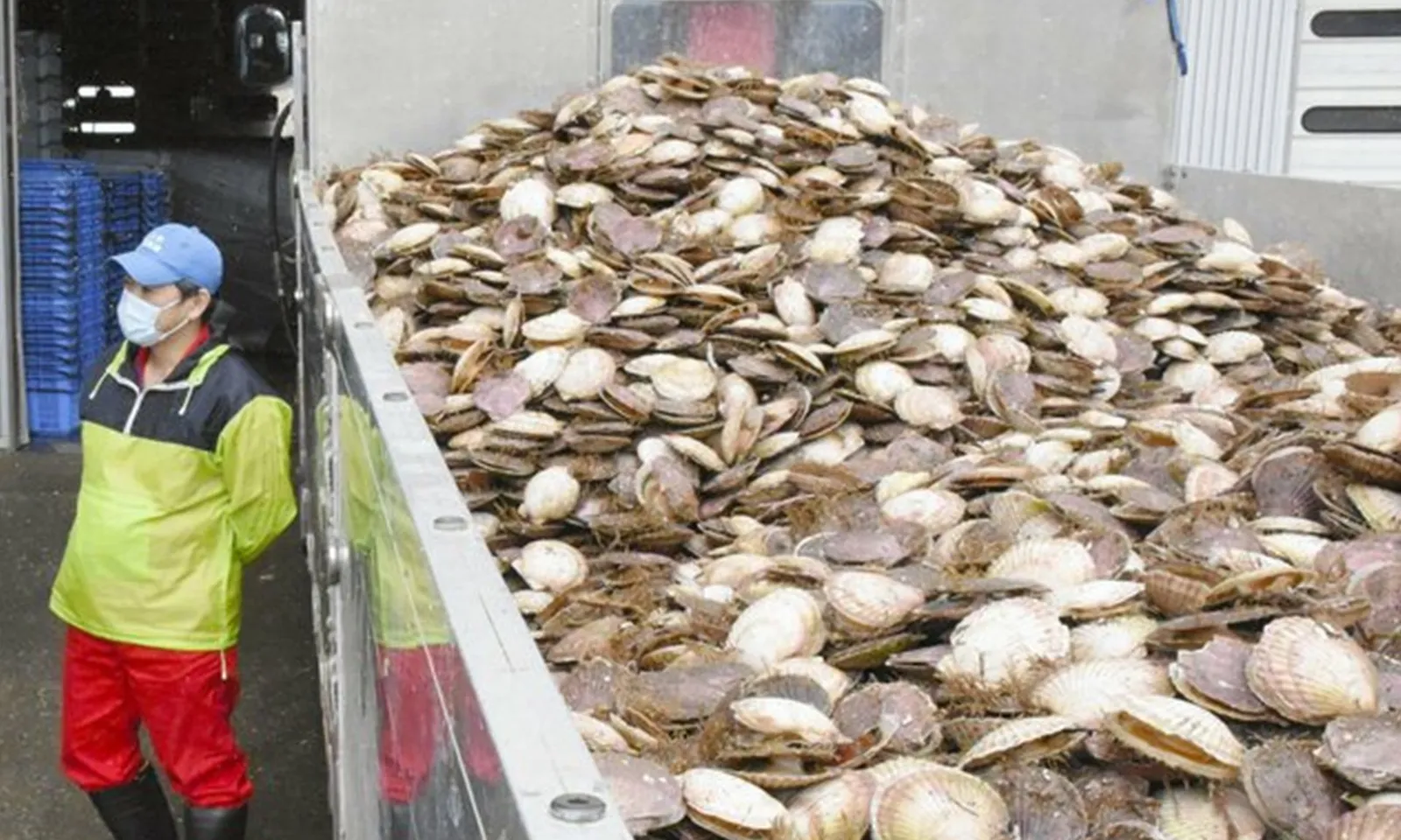 Trung Quốc tái áp đặt lệnh đình chỉ nhập khẩu hải sản từ Nhật Bản