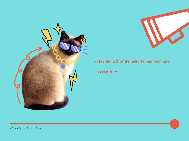 vuyp-co-nghia-la-gi-voh-2