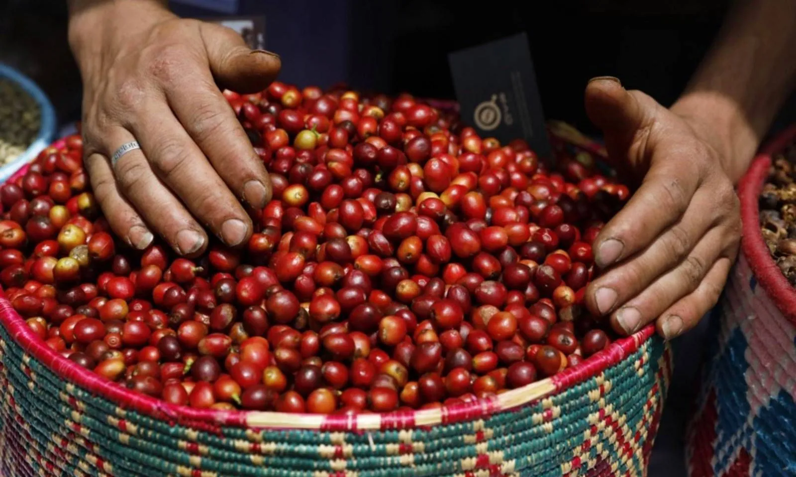 Mỹ dỡ bỏ thuế 40% với nhiều mặt hàng thực phẩm Brazil