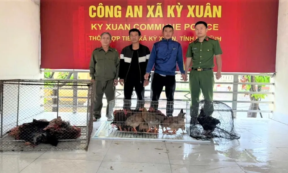 Khởi tố hai nghi phạm trộm gà ở xã Kỳ Xuân