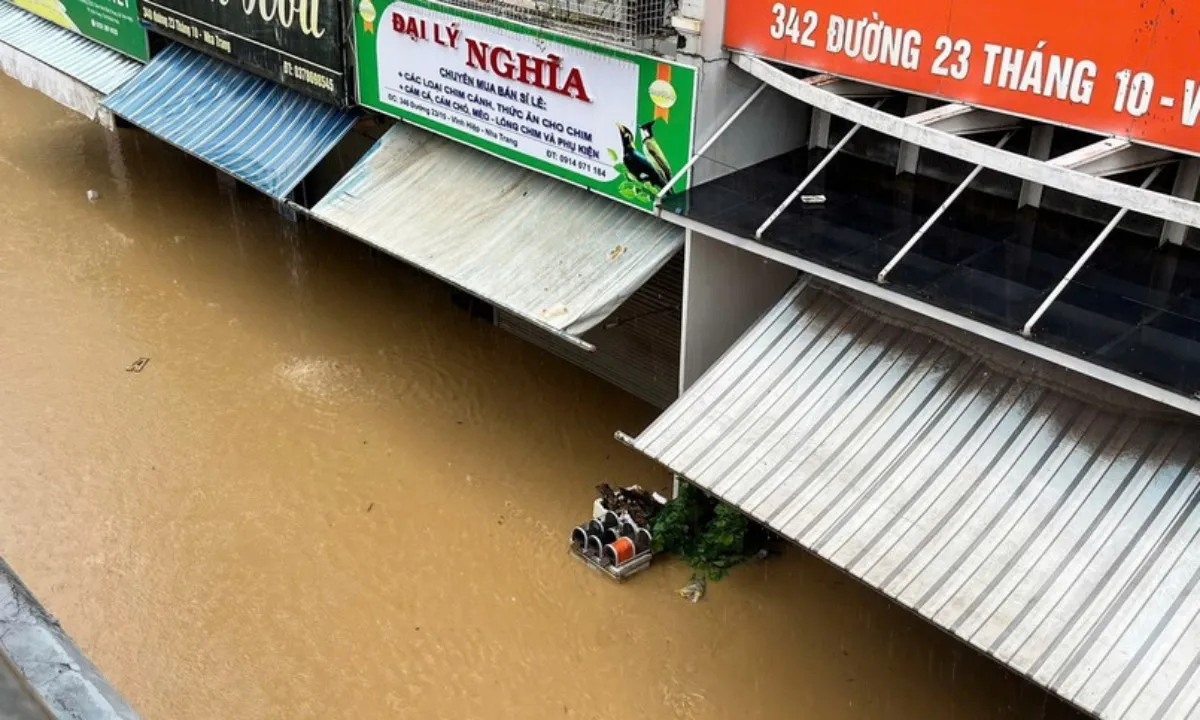 mua-lu-tai-khanh-hoa-7 (1)