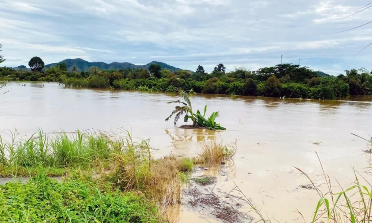 ngap-lut-2-17637033633261304716018