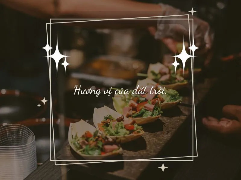 voh-slogan-black-friday-4