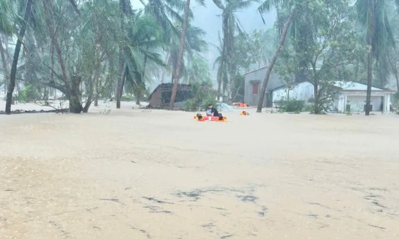 mua-lon-gay-ngap-19-16