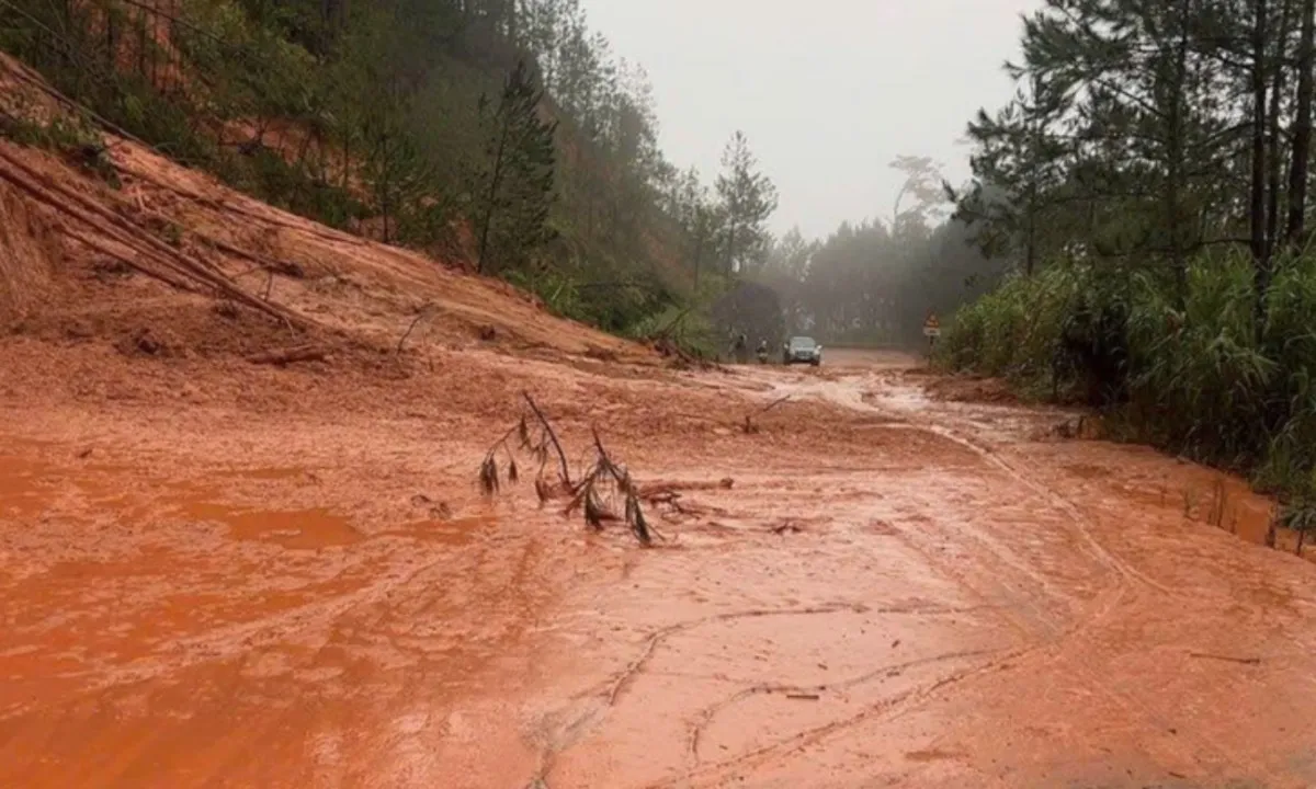 screenshot-2025-11-23-at-122443-1763875988234564487356