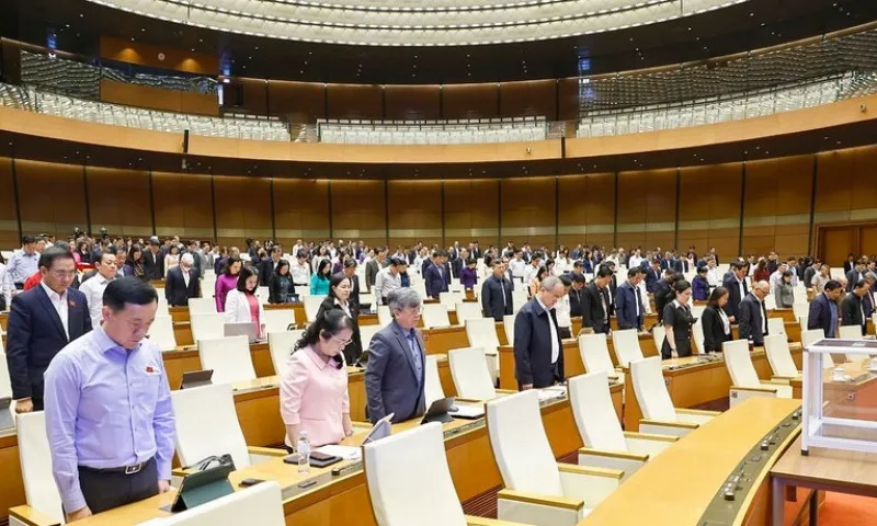 2411-dai-bieu-quoc-hoi-tuong-niem-dong-bao-bao-lu