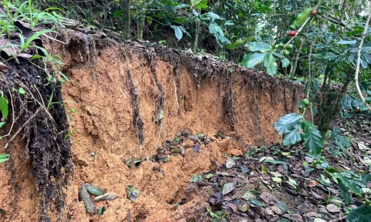 z7254078997116f53a4a03a75300efb784b7efc7bd4cbc-1763908024495717118149