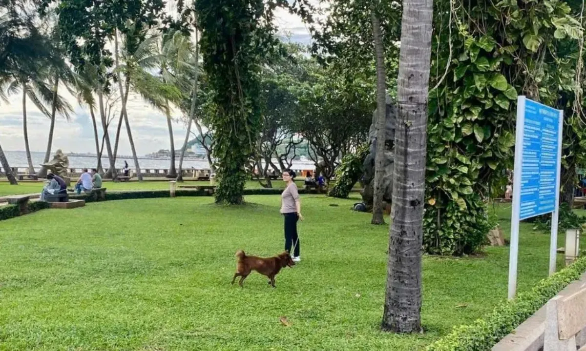 Chủ nuôi chó, mèo ở TPHCM phải khai báo với UBND cấp xã, phường, đặc khu