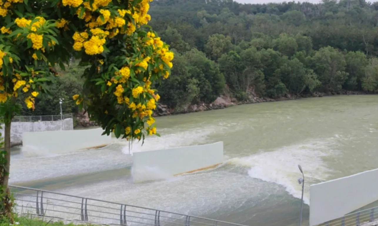 ho-dau-tieng--17641549945961574127223