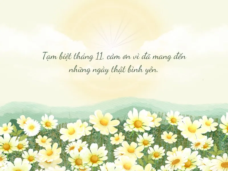 voh-stt-tam-biet-thang-11-1