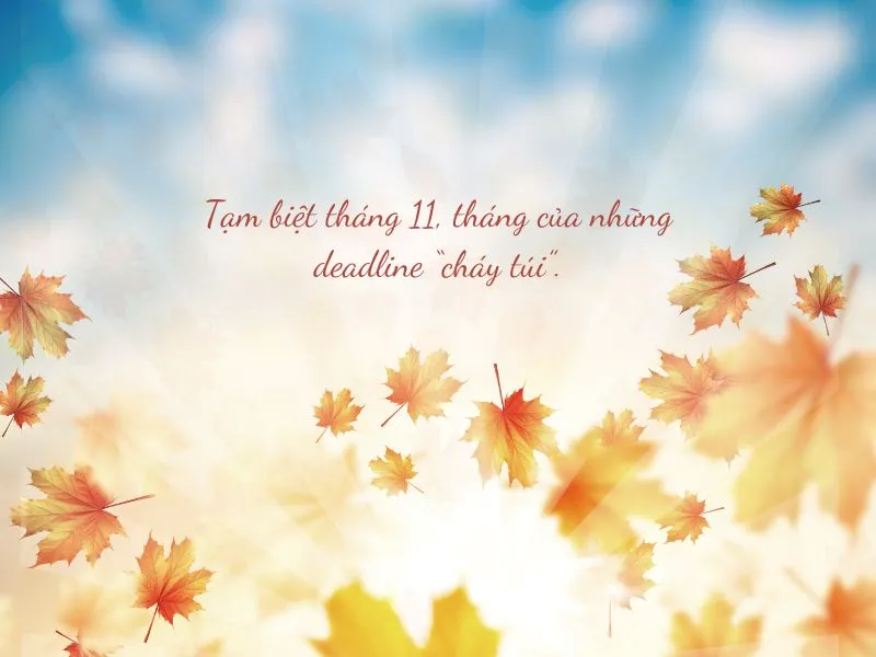 voh-stt-tam-biet-thang-11-2