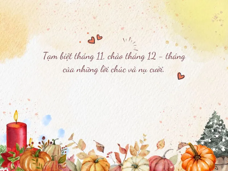 voh-stt-tam-biet-thang-11-3