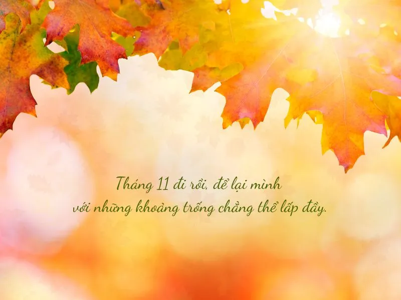 voh-stt-tam-biet-thang-11-4