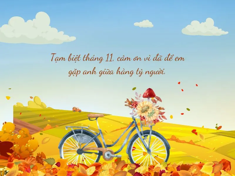 voh-stt-tam-biet-thang-11-5