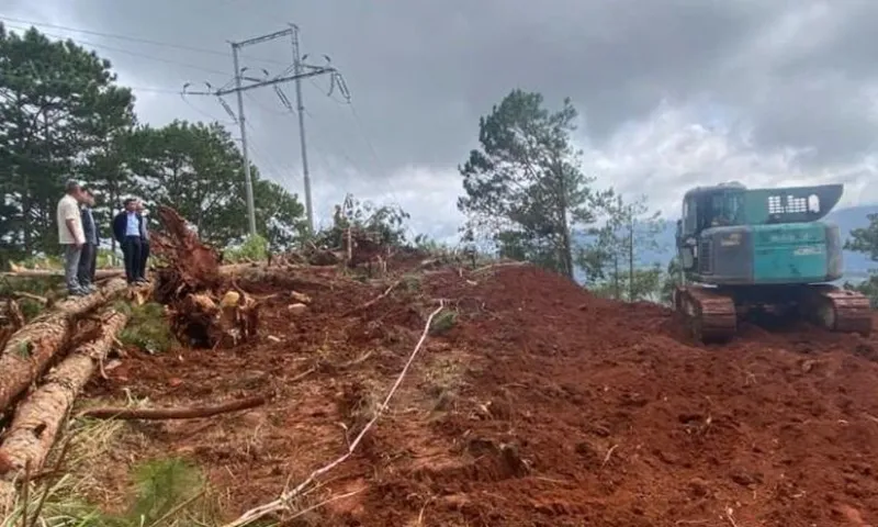 Cục Đường bộ chỉ đạo ứng phó bão số 15