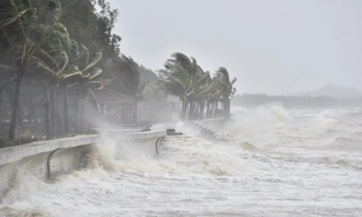 baoiyve-1656637228991641090346 (2)