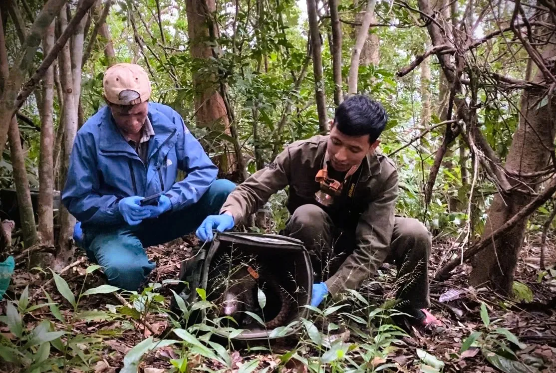 z7270733908388b7cfbd43ce75e797774905778c7c4ba3-1764306483340107253492