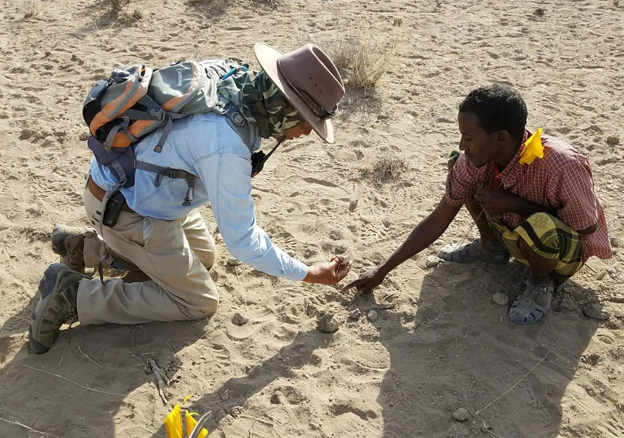 Yohannes Haile-Selassie